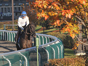 Keeneland's 'FallStars Weekend' Taking Shape Keeneland's 'FallStars Weekend' Taking Shape