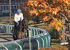 Keeneland's 'FallStars Weekend' Taking Shape