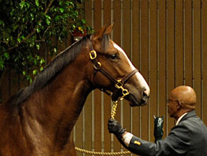 Keeneland September Sale Starts With a Bang Keeneland September Sale Starts With a Bang