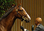 Keeneland September Sale Starts With a Bang Keeneland September Sale Starts With a Bang