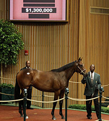 Two Seven-Figure Yearlings at Keeneland Two Seven-Figure Yearlings at Keeneland