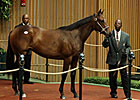 Two Seven-Figure Yearlings at Keeneland