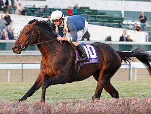 G3 Winner Keep Up Retired to Mill Ridge G3 Winner Keep Up Retired to Mill Ridge
