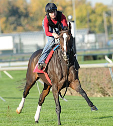 Keertana's Trainer Has History On His Side Keertana's Trainer Has History On His Side