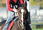 Keertana's Trainer Has History On His Side