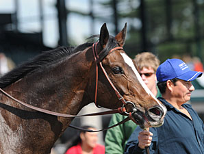 Graded Winner Keertana Retired Graded Winner Keertana Retired