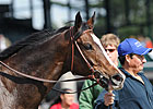 Graded Winner Keertana Retired