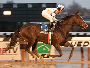 Milestone for New York Stallion Frost Giant Milestone for New York Stallion Frost Giant