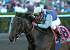 Kelly's Landing Tackles Aristides Kelly's Landing Tackles Aristides