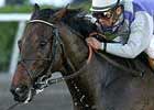 Final Breeders' Cup Tune-Ups For Six at Keeneland