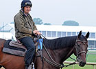 Jockey Club TIP Deadline Approaching Jockey Club TIP Deadline Approaching