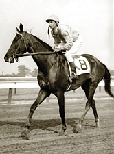 Special Report: Losing the Iron Horse? Special Report: Losing the Iron Horse?