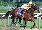 Jim Dandy, Diana Stars Come Out in Good Shape