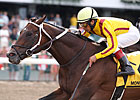 Grade II Winner Kensei Euthanized Grade II Winner Kensei Euthanized
