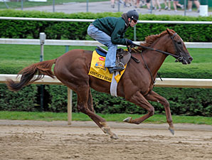 Grade I Placed Kentucky Bear Retired Grade I Placed Kentucky Bear Retired