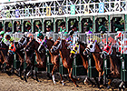 Samraat, Others Exit Derby in Good Shape Samraat, Others Exit Derby in Good Shape