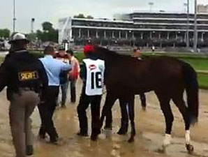2013 Kentucky Derby Walkover with Orb