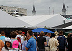 Rules for the Roses: A Derby Survival Guide Rules for the Roses: A Derby Survival Guide