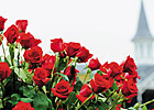 Field Favored as Derby Wager Pool 3 Ends Field Favored as Derby Wager Pool 3 Ends
