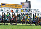 Old Friends to Open Satellite at KY Downs Old Friends to Open Satellite at KY Downs
