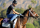 Pair of Homebreds Top Turfway Prevue Field