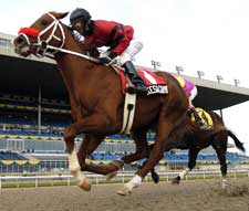 Kesagami Wins Woodbine's Coronation Futurity on Front End Kesagami Wins Woodbine's Coronation Futurity on Front End
