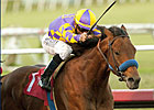 Kettle Corn Sticks to Rail, Wins Native Diver