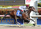 Khozan Impresses Again at Gulfstream Park Khozan Impresses Again at Gulfstream Park