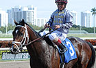 Khozan Injured, Off Kentucky Derby Trail Khozan Injured, Off Kentucky Derby Trail