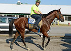 Easier Spot for Kid Cruz in Easy Goer Easier Spot for Kid Cruz in Easy Goer