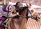 Eight Rivals Try Kid Cruz in Federico Tesio Eight Rivals Try Kid Cruz in Federico Tesio