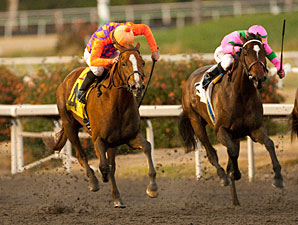 Top Starlet Pair Debut On Turf in Providencia Top Starlet Pair Debut On Turf in Providencia