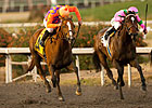 Top Starlet Pair Debut On Turf in Providencia