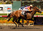 Killer Graces Leads Sorrento Field Killer Graces Leads Sorrento Field