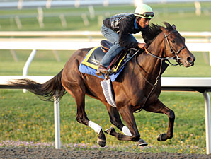 King Congie Puts in Final Blue Grass Work King Congie Puts in Final Blue Grass Work
