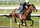 King Congie Puts in Final Blue Grass Work