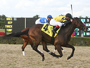 King Congie Scratched Out of Vinery Spiral King Congie Scratched Out of Vinery Spiral