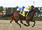 King Congie Scratched Out of Vinery Spiral King Congie Scratched Out of Vinery Spiral