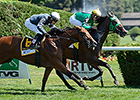 New York-Bred Turf Stars Set for Sunday New York-Bred Turf Stars Set for Sunday
