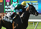 U.S. Horses Face Tough Tests in Hong Kong U.S. Horses Face Tough Tests in Hong Kong