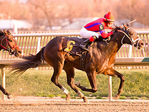 Dutrow Horse DQ'd From Stakes Win Dutrow Horse DQ'd From Stakes Win