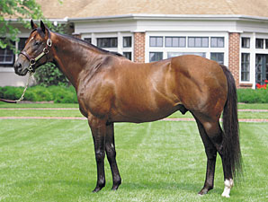 Lane's End Stallions Top Day 2 Sires Lane's End Stallions Top Day 2 Sires