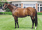 Lane's End Stallions Top Day 2 Sires