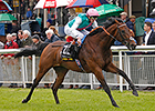 Kingman Emphatic Irish Guineas Winner Kingman Emphatic Irish Guineas Winner