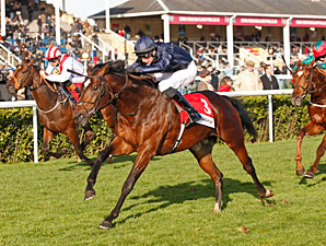 Kingsbarns Storms to Racing Post Trophy Win Kingsbarns Storms to Racing Post Trophy Win