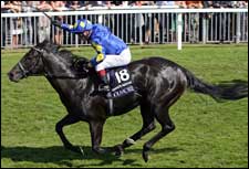Kingsgate Native Disrespects His Elders in Nunthorpe Stakes Kingsgate Native Disrespects His Elders in Nunthorpe Stakes