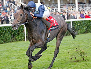 Kingston Hill Proves Merit of Mastercraftsman Kingston Hill Proves Merit of Mastercraftsman
