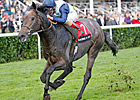 Kingston Hill Proves Merit of Mastercraftsman Kingston Hill Proves Merit of Mastercraftsman