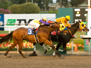 Kinsale King Rules Underwood for New Trainer Kinsale King Rules Underwood for New Trainer