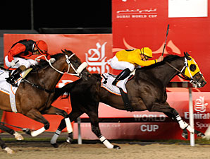 Kinsale King Reclaims Golden Shaheen for U.S. Kinsale King Reclaims Golden Shaheen for U.S.